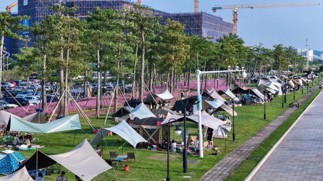 1728982033284419.jpg 5.jpg