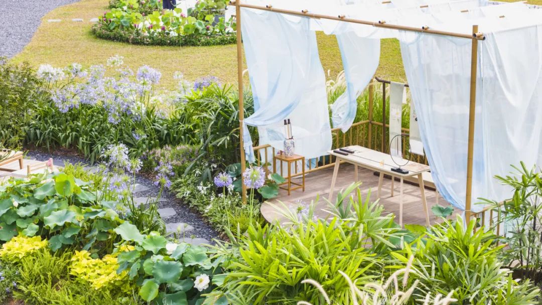 1752480920371385.jpg 19.jpg