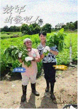 中餐厅8